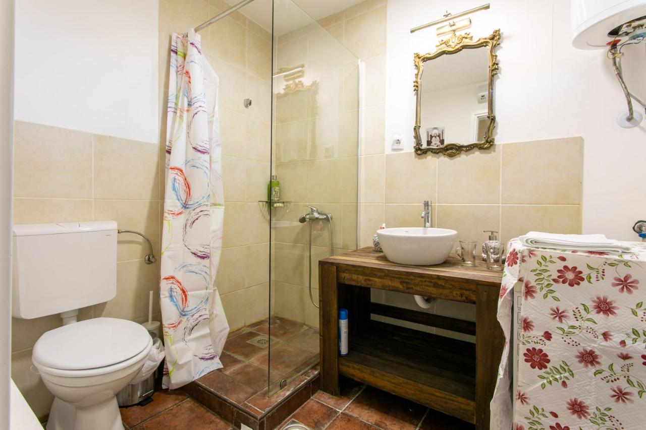 Apartamento Seosko Domacinstvo Pustolov Stari Banovci Exterior foto